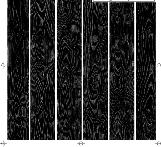 Laser image setter for stainless steel press plate